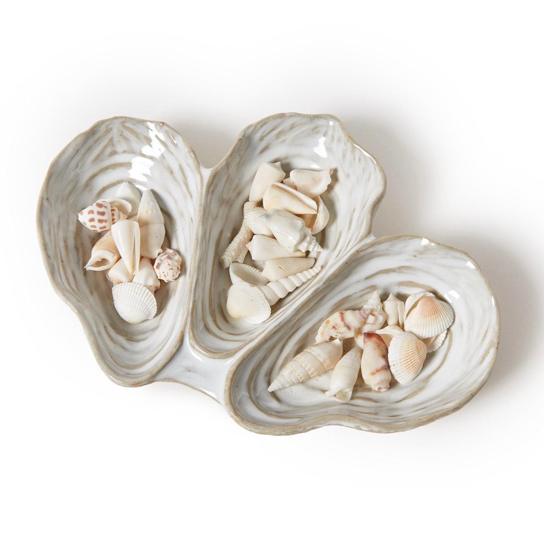 Oyster Shell Dish with 3 Sections
