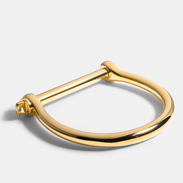 Gold Shackle Screw Bangle Bracelet - 18k Gold Plated Stainless Steel